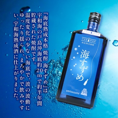 海底熟成焼酎 海すずめ 720ml 1本 名門サカイ I015-085006