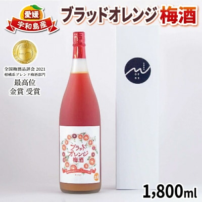 ブラッドオレンジ梅酒 1,800ml 名門サカイ I017-085004