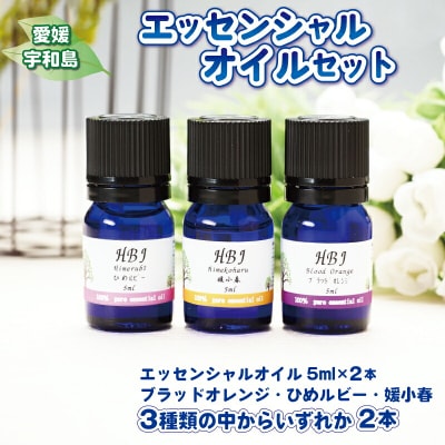エッセンシャルオイル セット 5ml × 2本 ひめ美じん 柑橘アロマ K020-078001