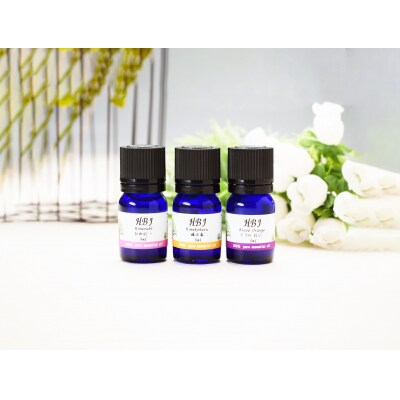 エッセンシャルオイル セット 5ml × 2本 ひめ美じん 柑橘アロマ K020-078001