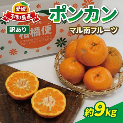 愛媛みかん 訳あり ポンカン 10kg マル南フルーツ 愛媛 宇和島 B010-106001