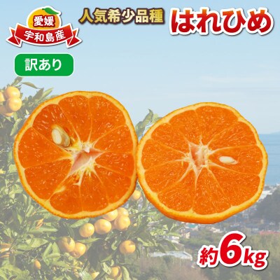 訳あり はれひめ 約6kg 協徳ガーデン 愛媛 宇和島 B010-178004