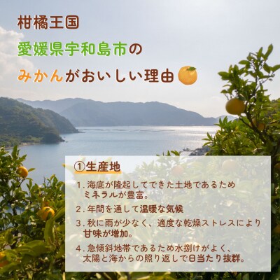 訳あり はれひめ 約6kg 協徳ガーデン 愛媛 宇和島 B010-178004