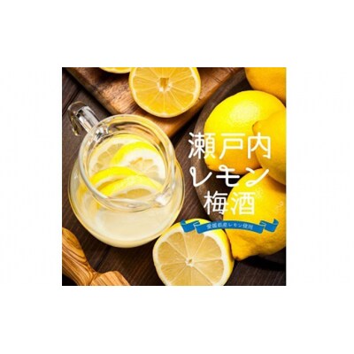瀬戸内レモン梅酒 720ml 名門サカイ I011-085002