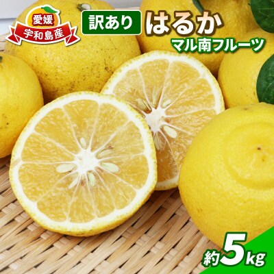 訳あり はるか 5kg マル南フルーツ B012-106003