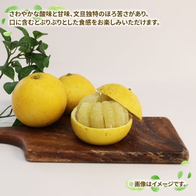 訳あり 文旦 7kg 玉津柑橘倶楽部 B010-072046