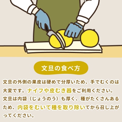 訳あり 文旦 7kg 玉津柑橘倶楽部 B010-072046