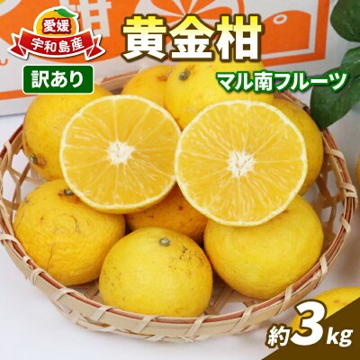 訳あり 黄金柑 3kg マル南フルーツ B010-106010