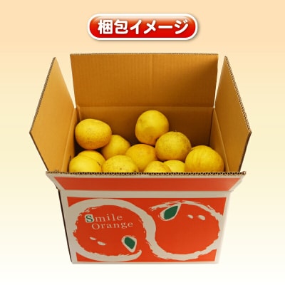 訳あり プチ土佐文旦 10kg 杉本屋 B010-143026
