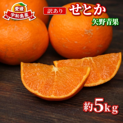 訳あり せとか 5kg 矢野青果 B012-171032