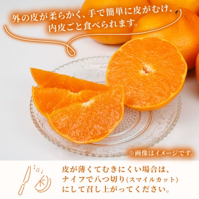 訳あり せとか 5kg 矢野青果 B012-171032