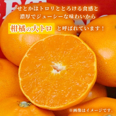 訳あり せとか 5kg 矢野青果 B012-171032