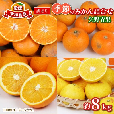 訳あり 季節のみかん詰合せ 8kg 矢野青果 B010-171033