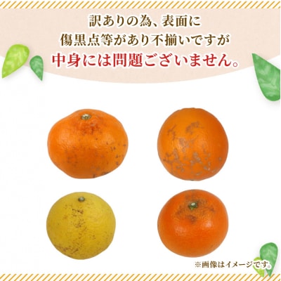 訳あり 季節のみかん詰合せ 8kg 矢野青果 B010-171033