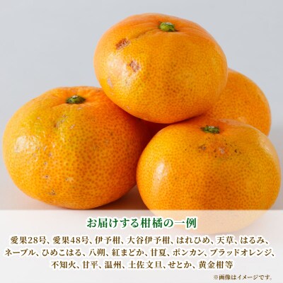 訳あり 季節のみかん詰合せ 8kg 矢野青果 B010-171033