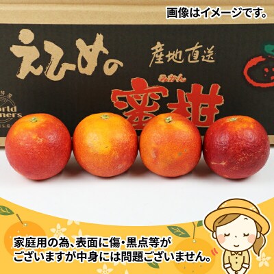 ブラッドオレンジ・タロッコ(家庭用)4kg ワールドファーマーズ B012-024012