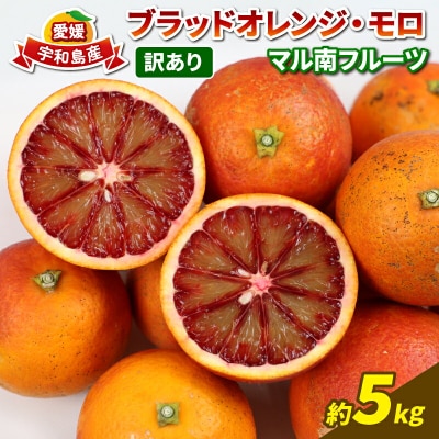 訳あり ブラッドオレンジ・モロ 5kg マル南フルーツ B012-106006