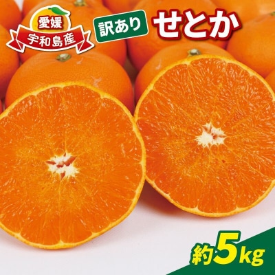 訳あり せとか 5kg マル南フルーツ B012-106023