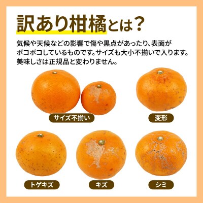 訳あり せとか 5kg マル南フルーツ B012-106023
