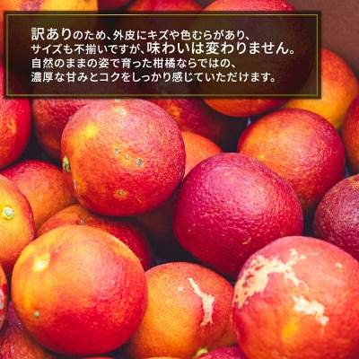 訳あり ブラッドオレンジ モロ 5kg コルレオファーム B012-145024