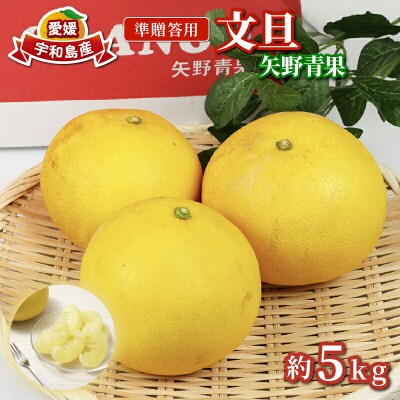 準贈答用 文旦 5kg 矢野青果 B012-171012