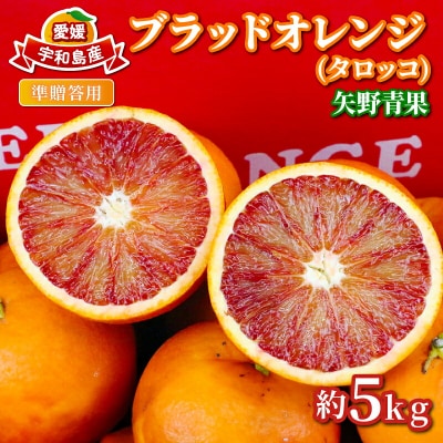 準贈答用 ブラッドオレンジ(タロッコ)5kg 矢野青果 B012-171020