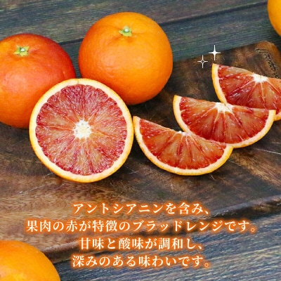 準贈答用 ブラッドオレンジ(タロッコ)5kg 矢野青果 B012-171020