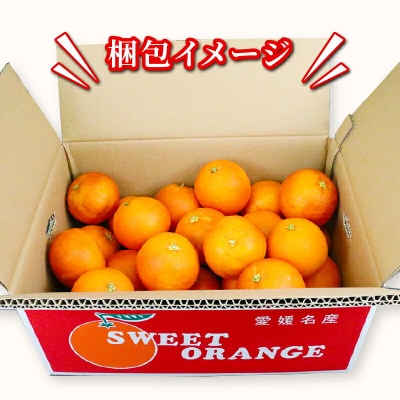 準贈答用 ブラッドオレンジ(タロッコ)5kg 矢野青果 B012-171020