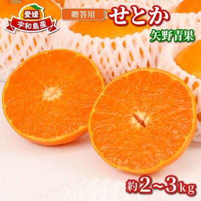 贈答用 せとか 2～3kg 矢野青果 B012-171022