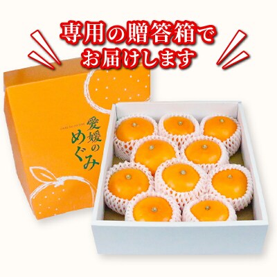贈答用 せとか 2～3kg 矢野青果 B012-171022