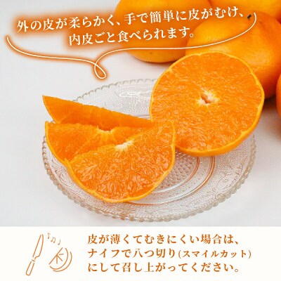 贈答用 せとか 2～3kg 矢野青果 B012-171022