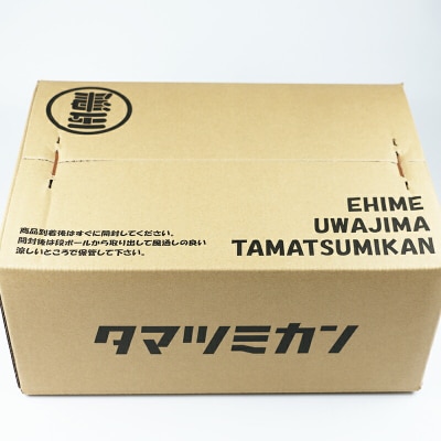 訳あり せとか 5kg 玉津柑橘倶楽部 B015-072028