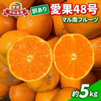 訳あり 愛果48号 5kg マル南フルーツ B015-106053