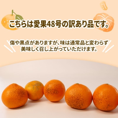 訳あり 愛果48号 5kg マル南フルーツ B015-106053