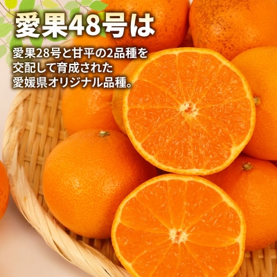 訳あり 愛果48号 5kg マル南フルーツ B015-106053