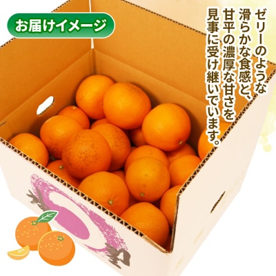 訳あり 愛果48号 5kg マル南フルーツ B015-106053