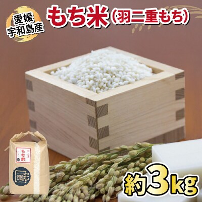 もち米(羽二重もち)3kg ワールドファーマーズ G010-024029