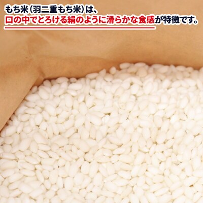もち米(羽二重もち)3kg ワールドファーマーズ G010-024029