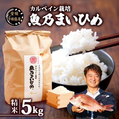 魚乃まいひめ(コシヒカリ)5kg 秀長水産 G016-016007