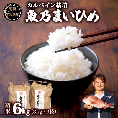 魚乃まいひめ(コシヒカリ)6kg 秀長水産 G020-016010