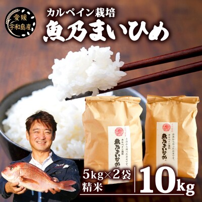 魚乃まいひめ(コシヒカリ)10kg 秀長水産 G032-016008