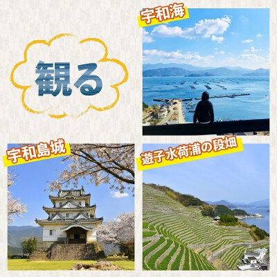 一般・高校生クライミング回数券(11回分) スポーツ交流センター L011-184001