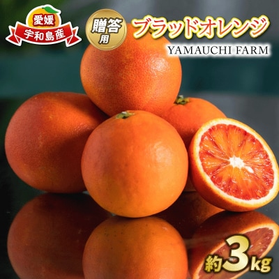 贈答用 ブラッドオレンジ 3kg YAMAUCHI FARM B010-084004