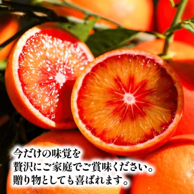贈答用 ブラッドオレンジ 3kg YAMAUCHI FARM B010-084004