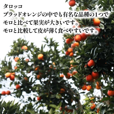 贈答用 ブラッドオレンジ 3kg YAMAUCHI FARM B010-084004