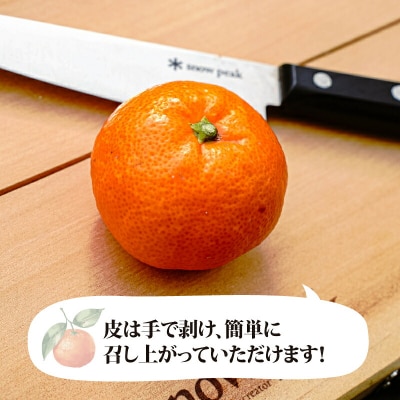 南柑20号 5kg コルレオファーム B010-145008