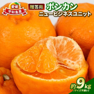 玉津みかん 贈答用 ポンカン 9kg ニュービジネスユニット B018-058006