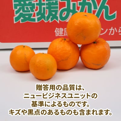 玉津みかん 贈答用 ポンカン 9kg ニュービジネスユニット B018-058006