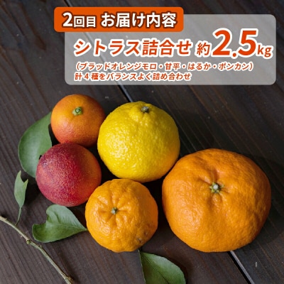シトラスフルーツ・ジュース4回定期便 コルレオファーム B052-145019
