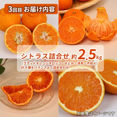 シトラスフルーツ・ジュース4回定期便 コルレオファーム B052-145019
